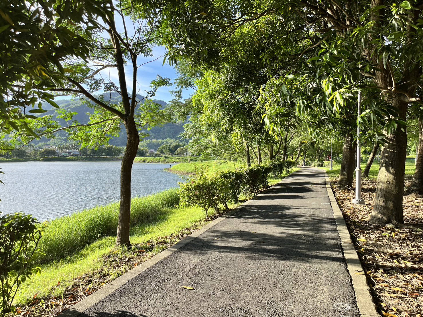 【2022年金質旅遊獎—國內雙鐵類】旗尾糖鐵黃金歲月x鐵馬走讀百年客庄三日