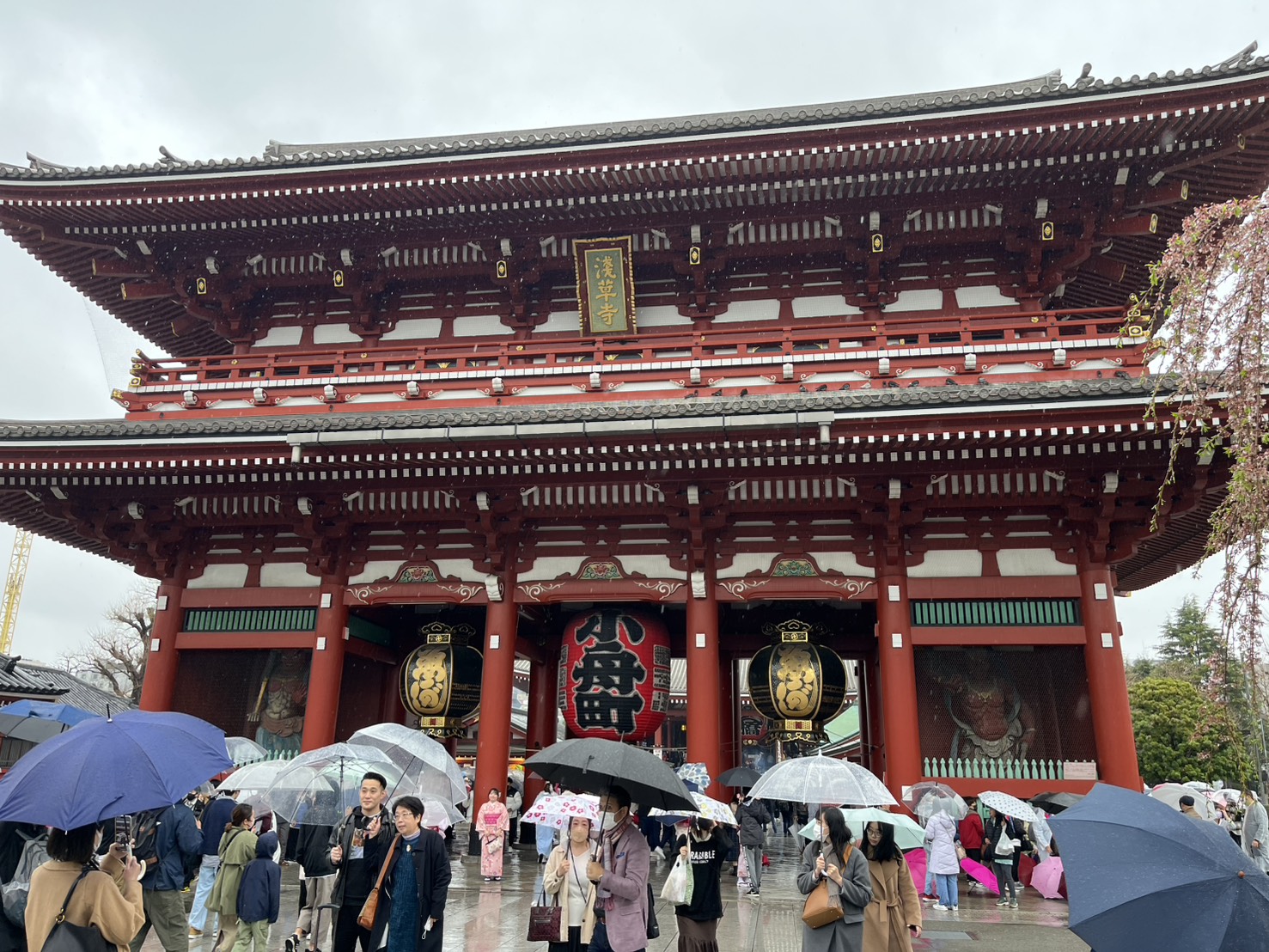 【2023品保優旅選—日本旅遊類】職人匠魂見學x細品日式美學x深度關東五日